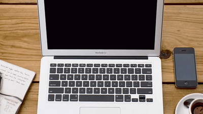 Bonsai - professional stock photography