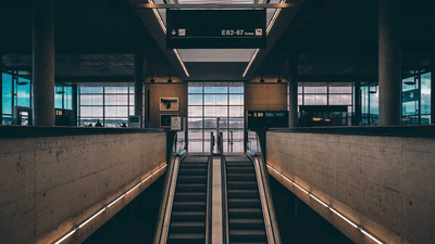 Cactus - professional stock photography