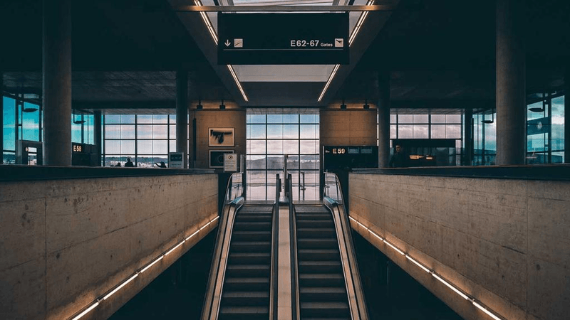Cactus - professional stock photography
