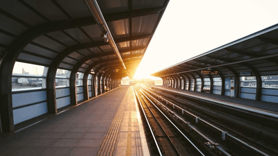 Cactus - professional stock photography