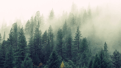 Compost - professional stock photography