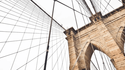 Fern - professional stock photography