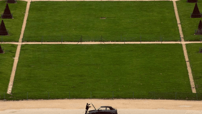 Flowers - professional stock photography