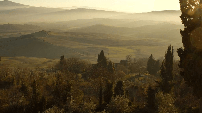 Greenhouse - professional stock photography
