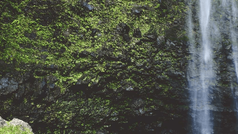 Greenhouse - professional stock photography