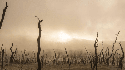 Greenhouse - professional stock photography