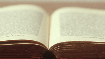 Greenhouse - professional stock photography