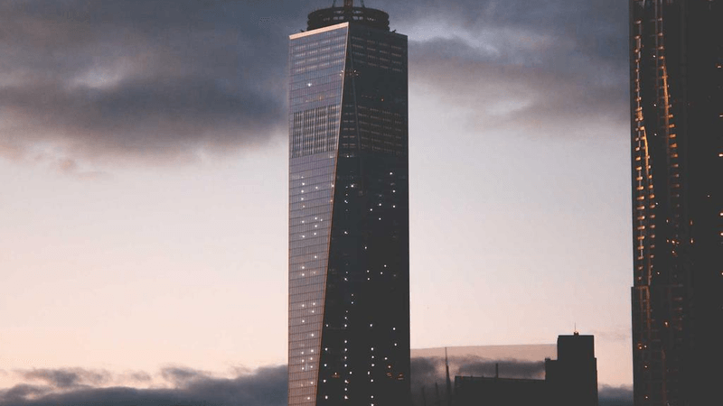 Herbs - professional stock photography