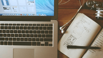 Herbs - professional stock photography