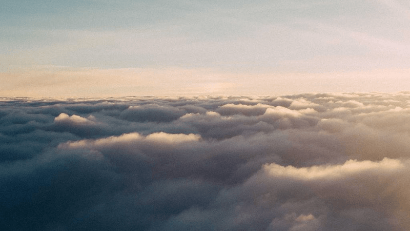 Mint - professional stock photography