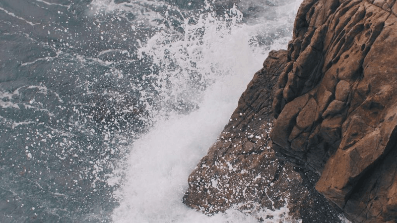 Mint - professional stock photography