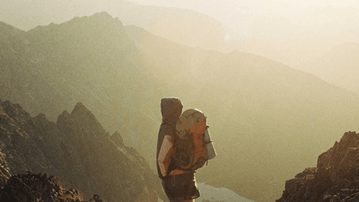 Mint - professional stock photography