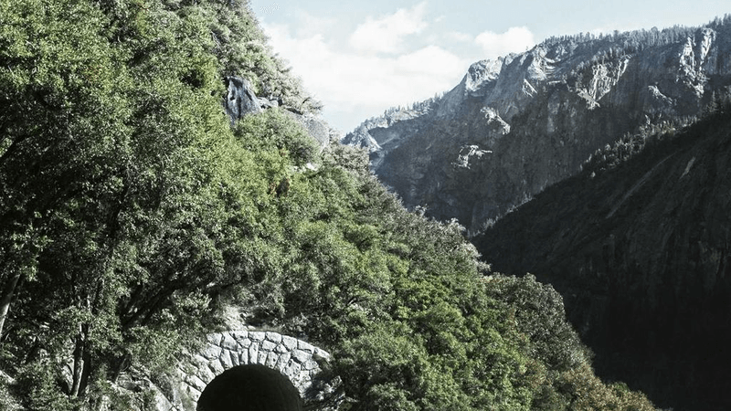 Potted - professional stock photography