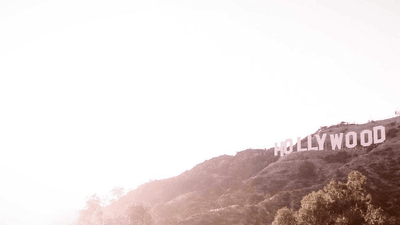 Potted - professional stock photography