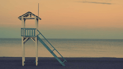 Roses - professional stock photography