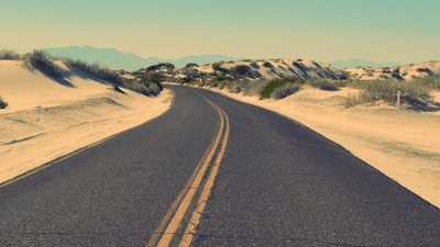 Roses - professional stock photography