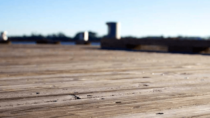 Roses - professional stock photography