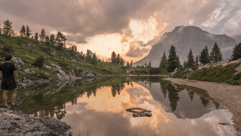 Seeds - professional stock photography