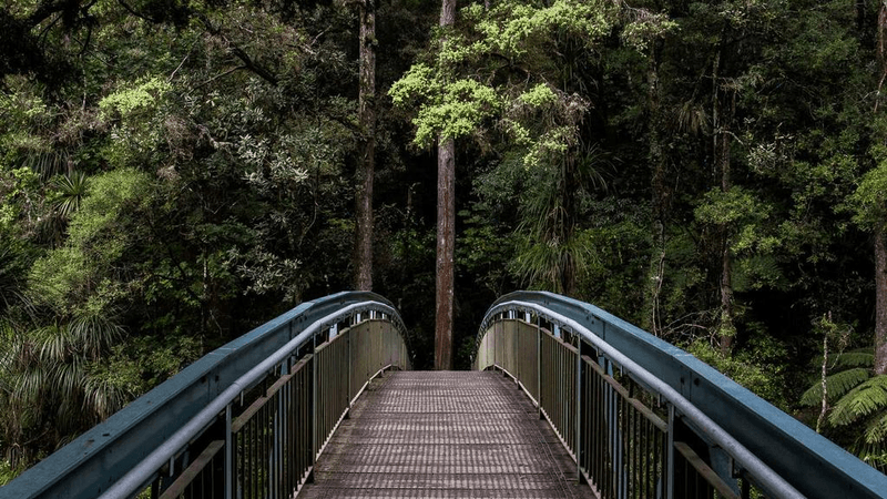 Seeds - professional stock photography