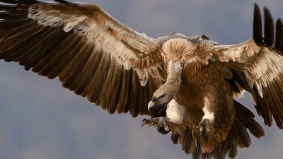 Soil - professional stock photography