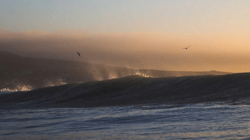 Soil - professional stock photography