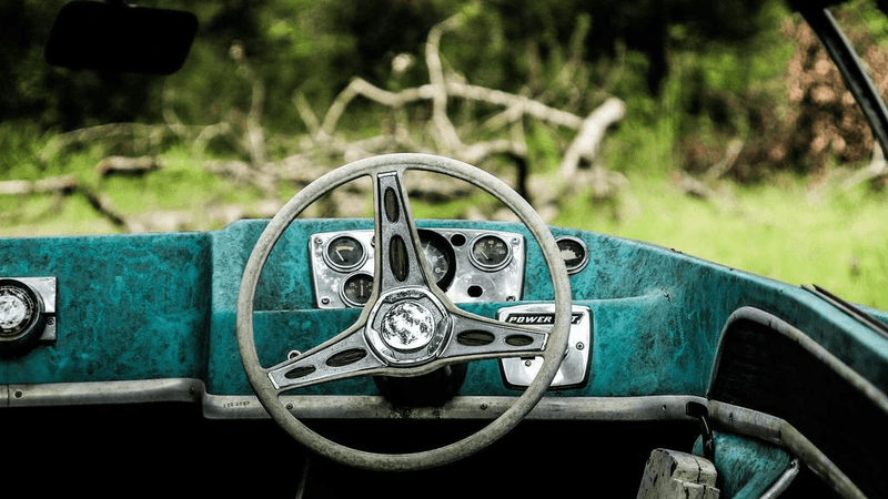 Succulent - professional stock photography