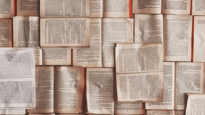 Tomato - professional stock photography