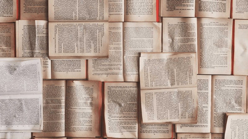 Tomato - professional stock photography