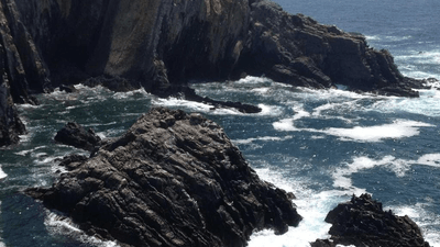 Tomato - professional stock photography