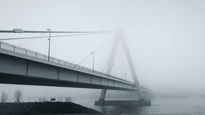 Tomato - professional stock photography