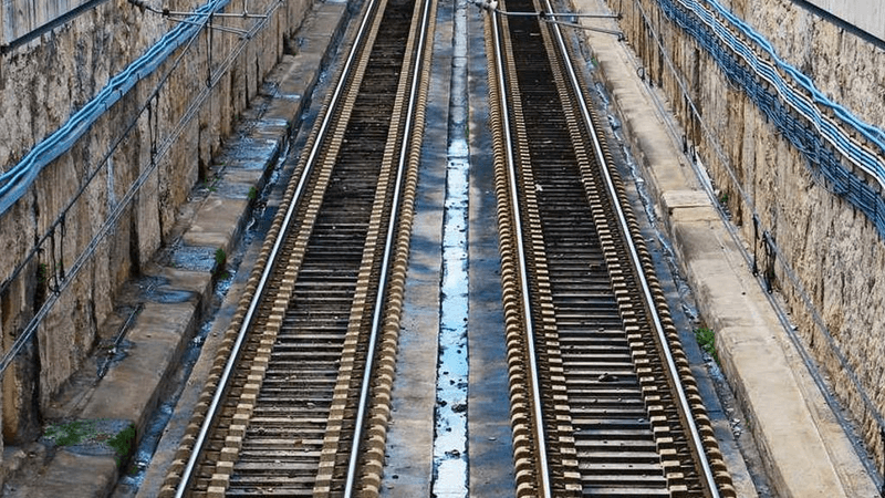 Tulips - professional stock photography