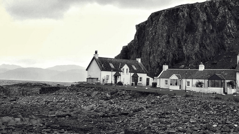 Tulips - professional stock photography