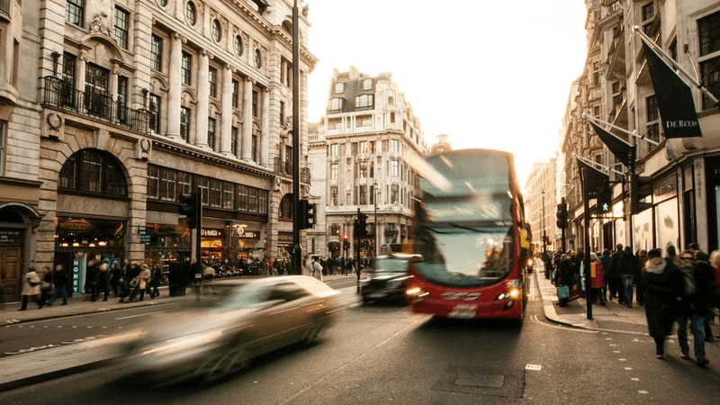 Vegetables - professional stock photography