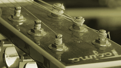 Vegetables - professional stock photography