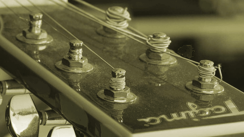 Vegetables - professional stock photography