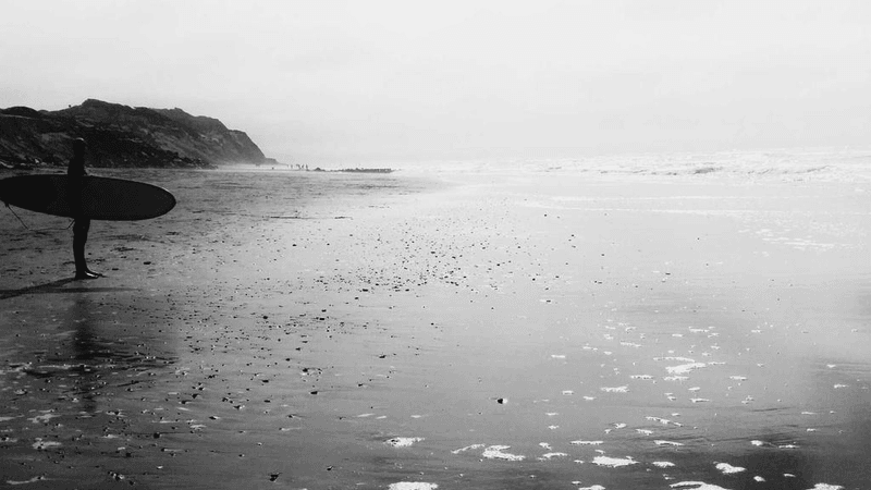 Watering - professional stock photography